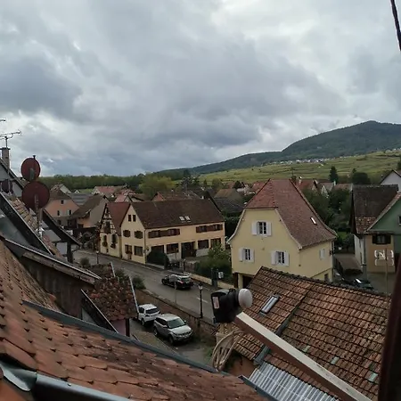 דירה Des Cigognes Au Coeur Du Village D'eguisheim אגויסהיים