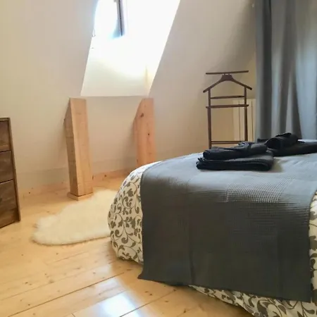 Des Cigognes Au Coeur Du Village D'eguisheim אגויסהיים
