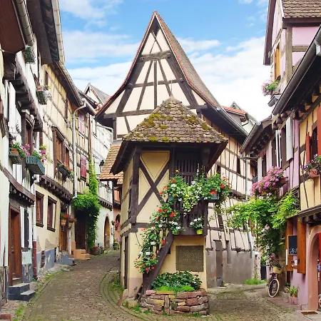Des Cigognes Au Coeur Du Village D'eguisheim * אגויסהיים