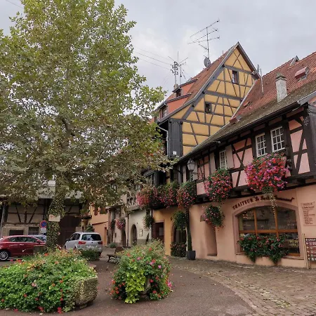 Des Cigognes Au Coeur Du Village D'eguisheim * אגויסהיים